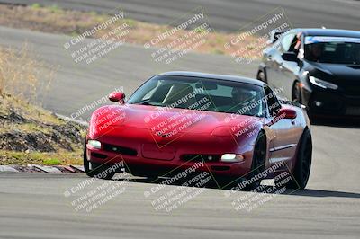 media/Mar-22-2025-West Coast Racing (Sat) [[0d49b412c8]]/Yellow Group/Session 1 (Turn 4-Exterior)/